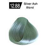 Silver Ash Blond 12.88 - Image 2