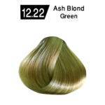 Ash Blond Green 12.22 - Image 2