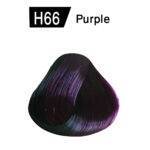 Purple H66 - Image 2